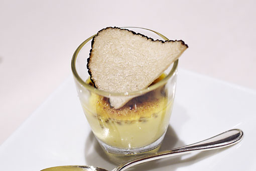 �R�[�g�h�[��