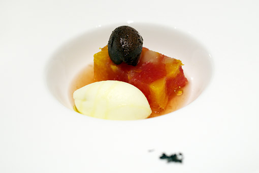 �R�[�g�h�[��