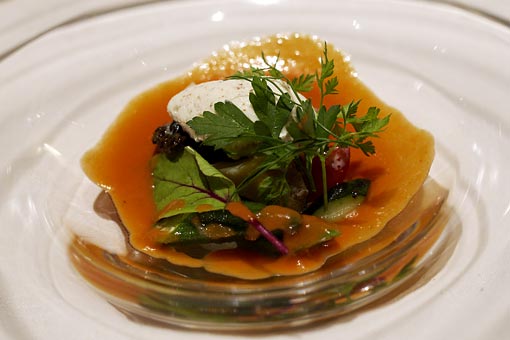 �R�[�g�h�[��