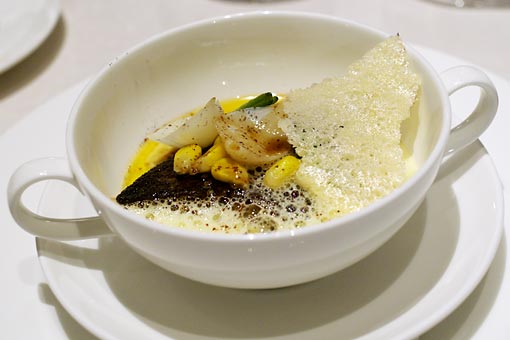 �R�[�g�h�[��