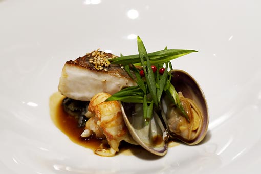 �R�[�g�h�[��