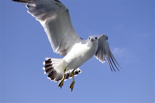 ���M�ό��D�@�����ߕ�