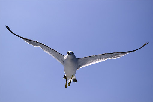 ���M�ό��D�@�����ߕ�