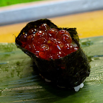 �����i�@���M