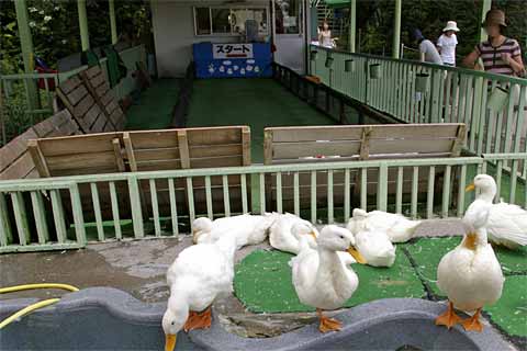 �̂ڂ�ׂN�}�q��