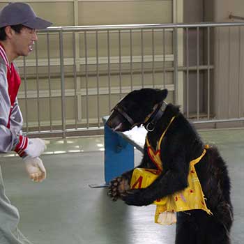 �̂ڂ�ׂN�}�q��