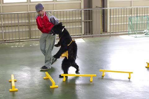 �̂ڂ�ׂN�}�q��