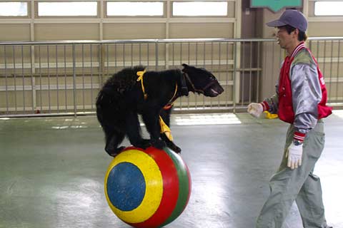 �̂ڂ�ׂN�}�q��