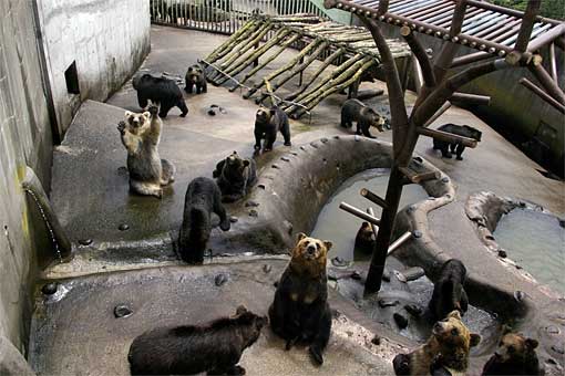 �̂ڂ�ׂN�}�q��