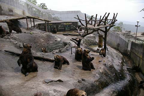 �̂ڂ�ׂN�}�q��