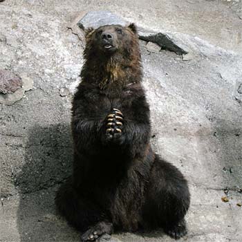 �̂ڂ�ׂN�}�q��