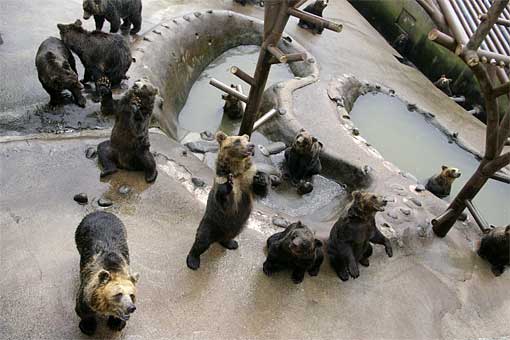 �̂ڂ�ׂN�}�q��