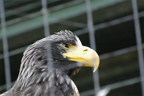 �D�y�s�~�R������