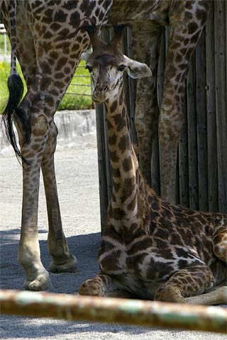 �D�y�s�~�R������