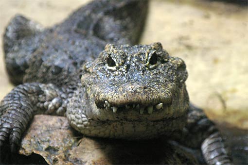 �D�y�s�~�R������