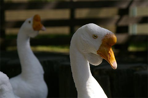 �D�y�s�~�R������