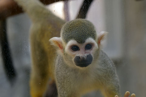 �D�y�s�~�R������