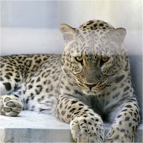 �D�y�s�~�R������