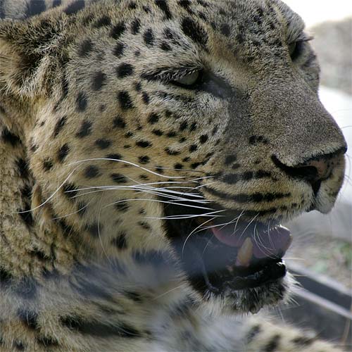 �D�y�s�~�R������