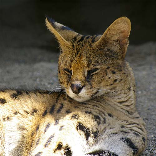 �D�y�s�~�R������