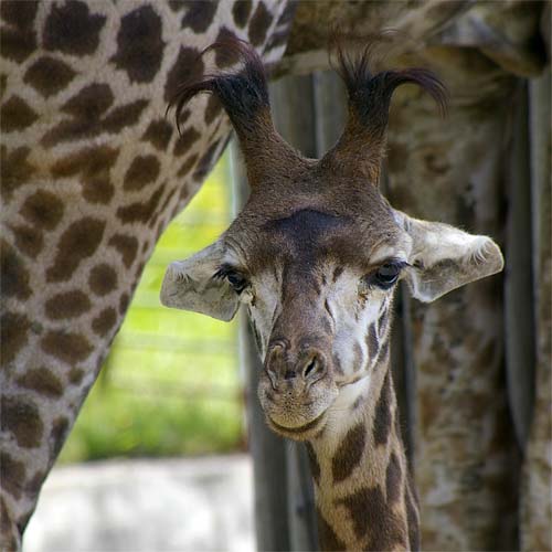 �D�y�s�~�R������