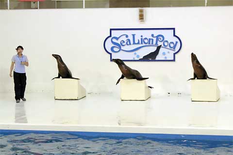 �o�ʃ}�����p�[�N�j�N�X