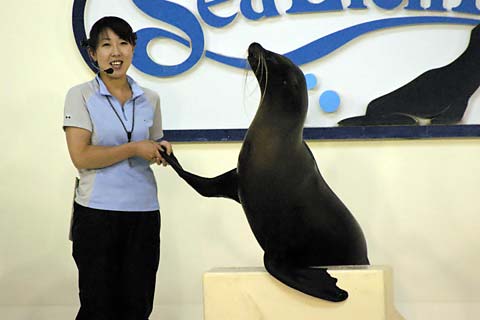 �o�ʃ}�����p�[�N�j�N�X