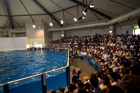 �o�ʃ}�����p�[�N�j�N�X