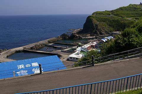 �����鐅����