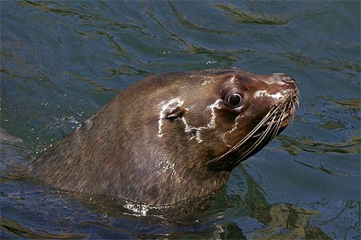 �����鐅���ف@�g�h��