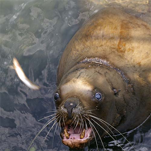 �����鐅���ف@�g�h��