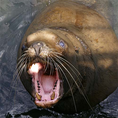 �����鐅���ف@�g�h��