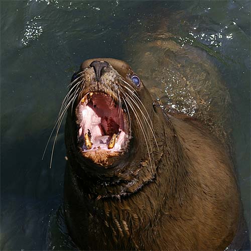 �����鐅���ف@�g�h��