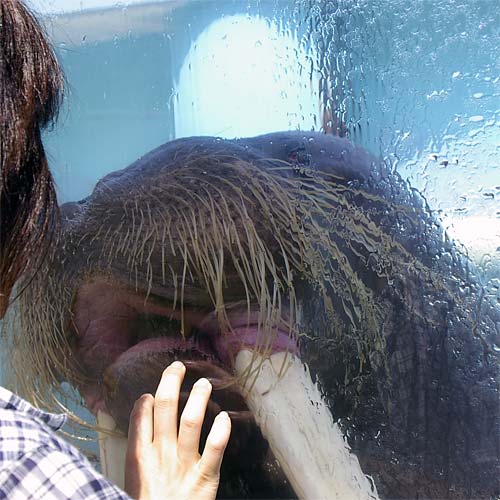 �����鐅���ف@�g�h��