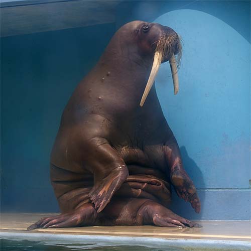 �����鐅���ف@�g�h��