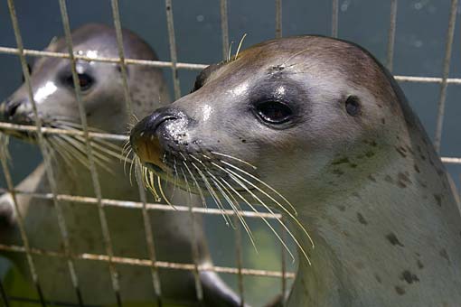 �����鐅���ف@�A�U���V��