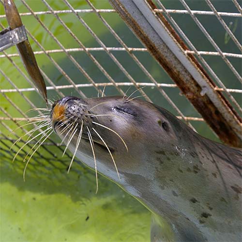 �����鐅���ف@�A�U���V��