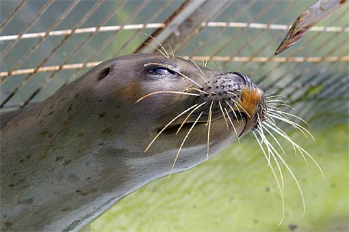 �����鐅���ف@�A�U���V��