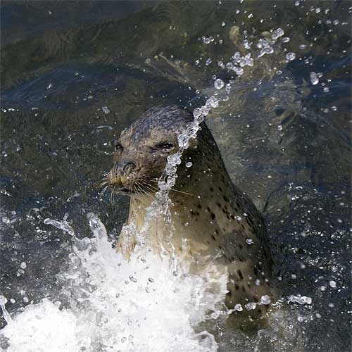 �����鐅���ف@�A�U���V��