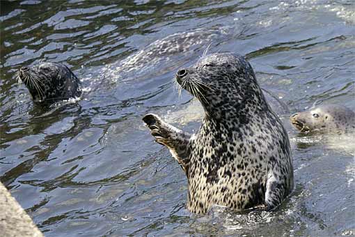 �����鐅���ف@�A�U���V��