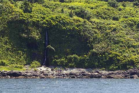 ���M�ό��D��