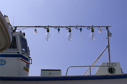 ���M�ό��D��