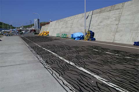 ���M�ό��D��