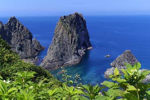 ��i�ϒO���R�[�X