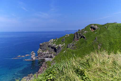 ��i�ϒO���R�[�X