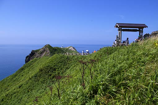 ��i�ϒO���R�[�X