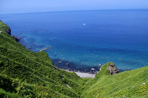 ��i�ϒO���R�[�X