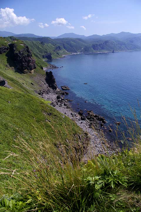 ��i�ϒO���R�[�X