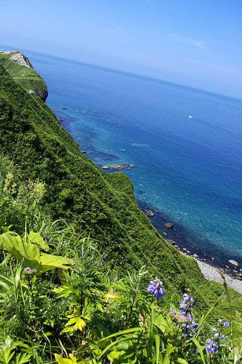 ��i�ϒO���R�[�X