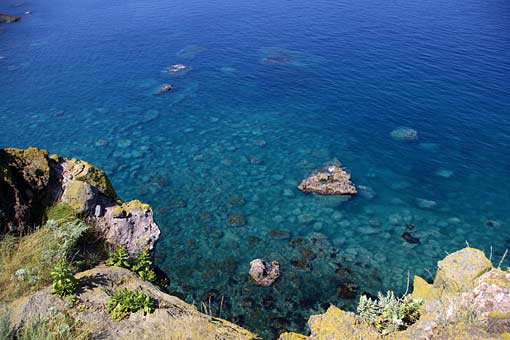 ��i�ϒO���R�[�X